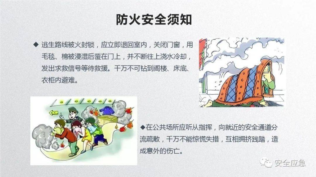 2023年安全培训必备10部警示片及新员工三级安全培训课件