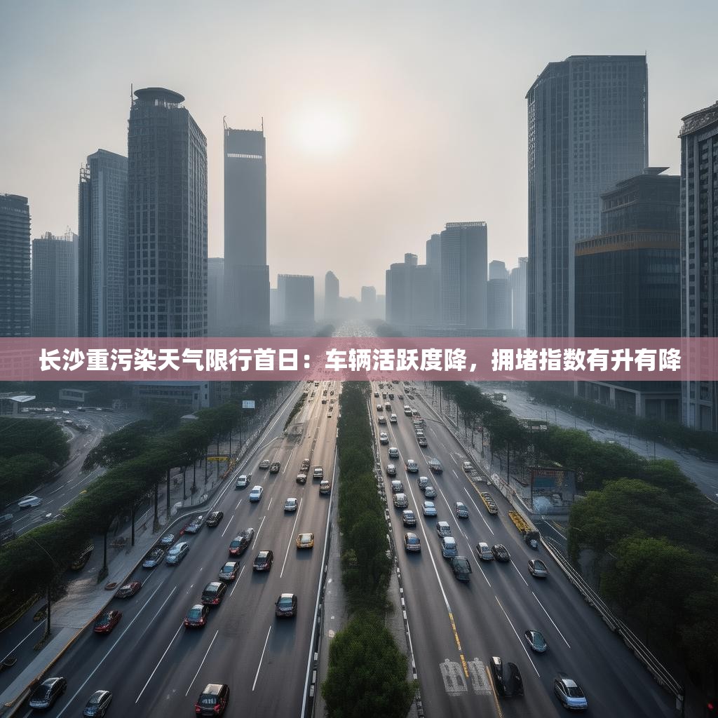 长沙重污染天气限行首日：车辆活跃度降，拥堵指数有升有降