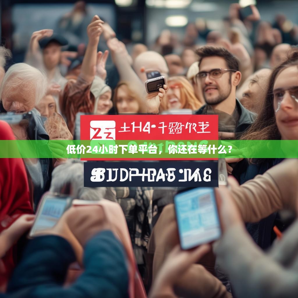 低价24小时下单平台，你还在等什么？