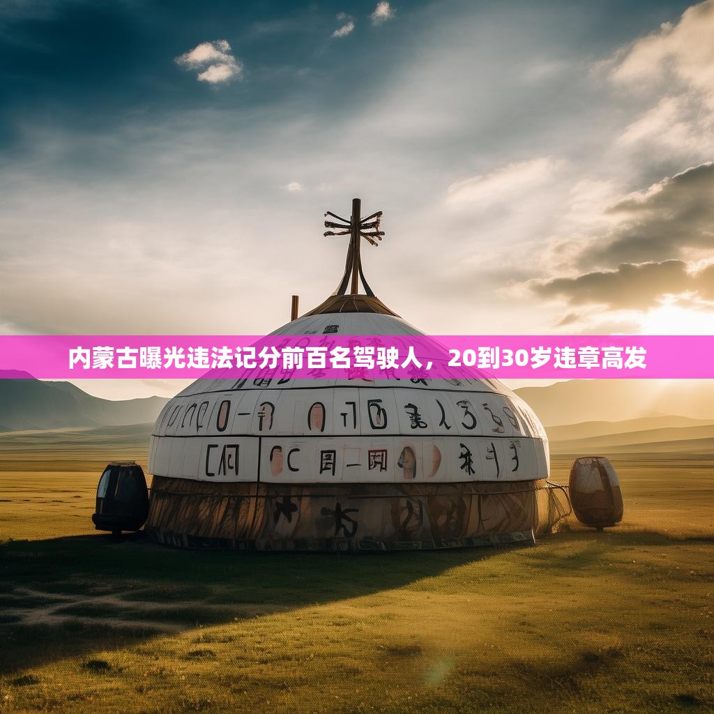 内蒙古曝光违法记分前百名驾驶人,20到30岁违章高发