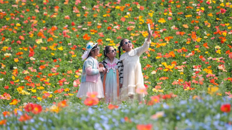 英国肯特郡爆发侵袭性脑膜炎球菌病,造成 2 人死亡