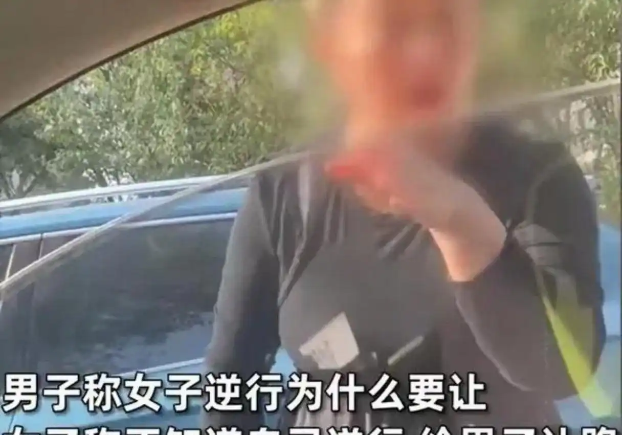 辽宁盘锦女司机逆行还理直气壮,多次违章行为终被处理