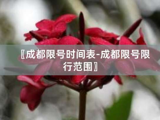 成都汽车限号时间及规则详情，世运会车辆限行规定也有