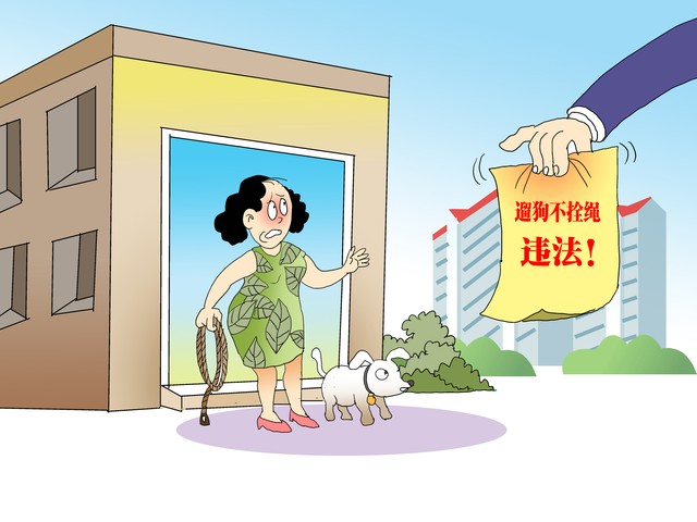 新治安法下家庭学校商家合规指南,避开违法违规高发风险