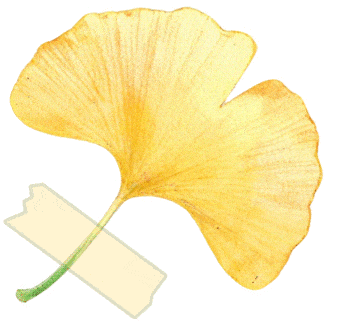 济源中级法院发布5起交通事故责任纠纷典型违章案例