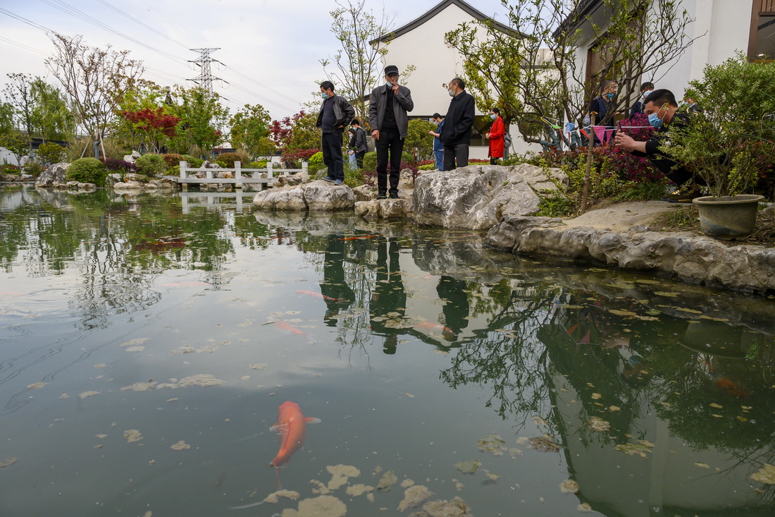 最美高速服务区阳澄湖:变身旅游新景点,可绕路打卡