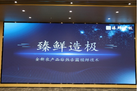 电气工程学院2023年科创竞赛总结表彰大会成功举行