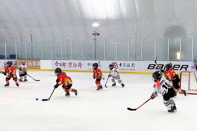 冬奥会速度滑冰怎么比?规则场地全解析