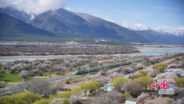 高速列车与慢火车：快慢之间，都是为民初心