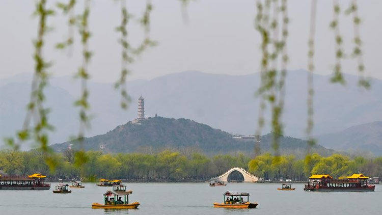 美妆博主称举报占用应急车道有高额奖励,真相究竟如何?