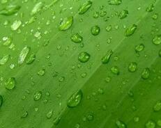 湖南少数民族高考加分 最新政策速查